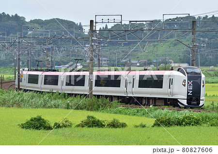 総武本線　佐倉－物井　JR東日本　E259系　Ne017編成（鎌倉）　成田エクスプレス 80827606