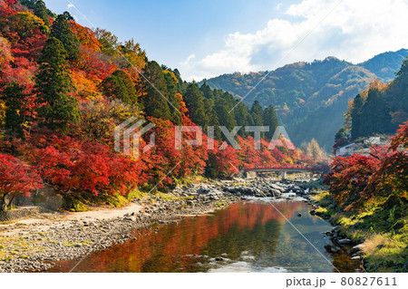 紅葉の香嵐渓　待月橋　巴川 80827611
