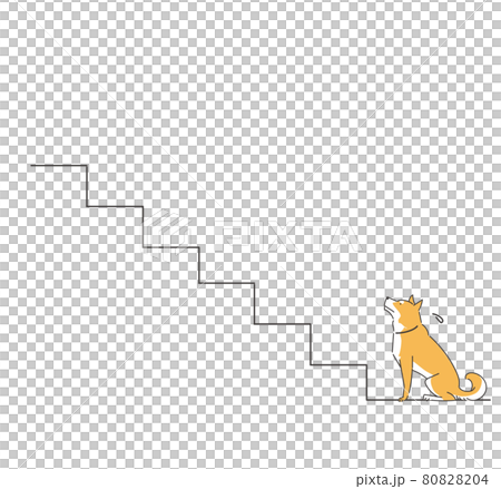 階段を登らない犬 階段を登らない犬 80828204