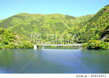 丹沢湖 神奈川県山北町の風景 80829442