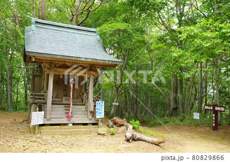 越知山　越知神社　日本100霊峰 80829866