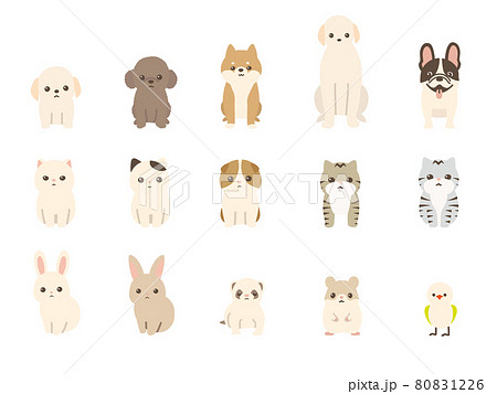 ペット 動物のベクターイラストセット 犬 猫 兎 小動物のイラスト素材