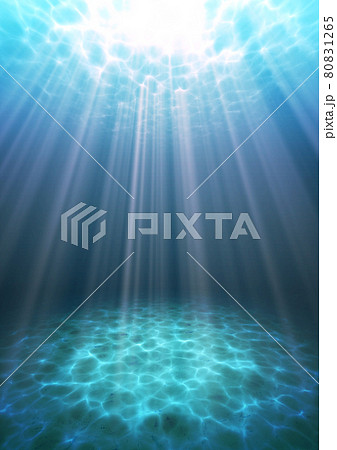 海中　水中　背景素材 80831265