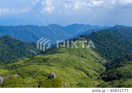 宮之浦岳山頂から縄文杉へと向かう稜線道 80831575