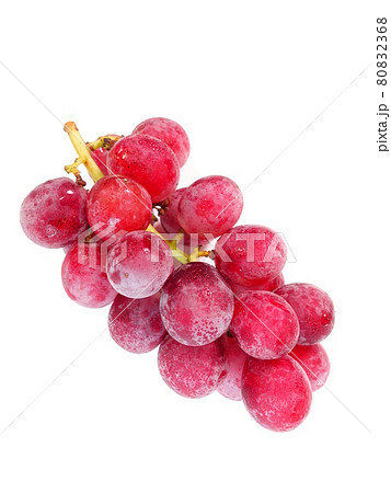 ぶどう　ブドウ　葡萄 80832368