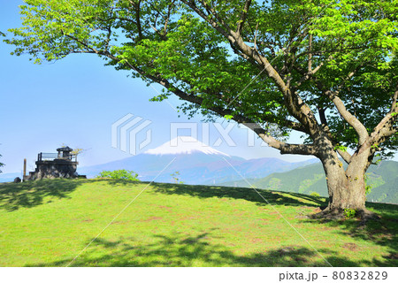富士山 神奈川県山北町の風景 80832829