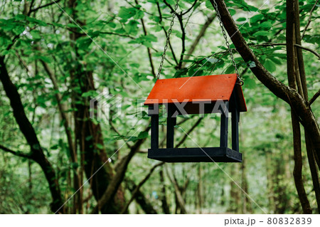 Wooden bird feeder in green summer forest or in the city park Wooden bird feeder in green summer forest or in the city park 80832839