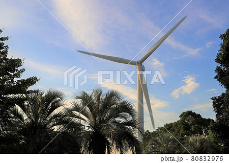 東京都　若洲公園の風車 80832976