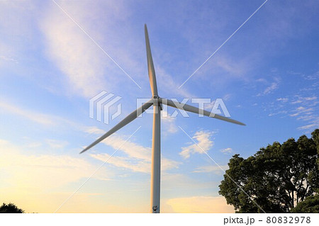 東京都 若洲公園の風車 東京都 若洲公園の風車 80832978