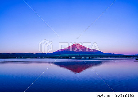 山梨県）山中湖から望む、赤富士 湖面の白鳥の写真素材 [80833165] - PIXTA