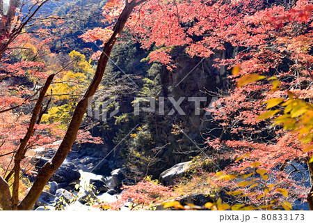 昇仙峡 紅葉 昇仙峡 紅葉 80833173
