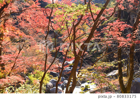 昇仙峡 紅葉 昇仙峡 紅葉 80833175