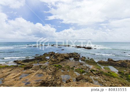 茨城県日立市　初崎海岸 80833555