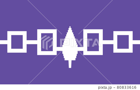 Iroquois Confederacy Haudenosaunee flag in real proportions and colors, vector 80833616