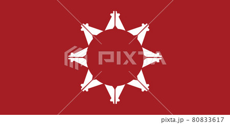 Pine Ridge flag in real proportions and colors, vector Pine Ridge flag in real proportions and colors, vector 80833617