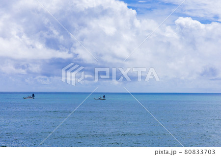 茨城県日立市　浜の宮ロードパークから見た海 80833703