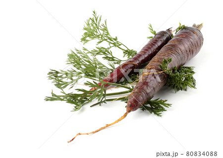 Violet carrots and leaves 80834088
