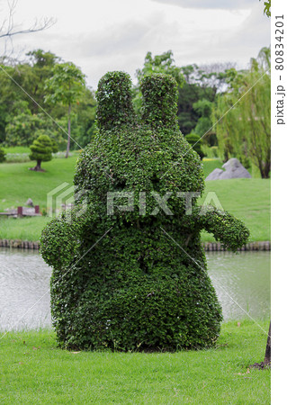 Decorated trees cut into the shape of animals. Decorated trees cut into the shape of animals. 80834201