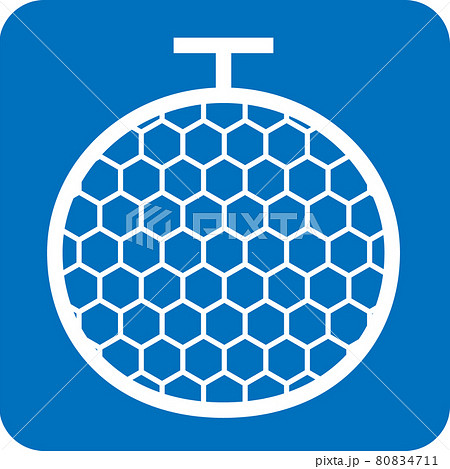 メロンのピクトグラム 80834711