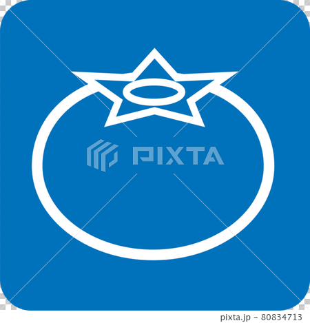 カキのピクトグラム カキのピクトグラム 80834713