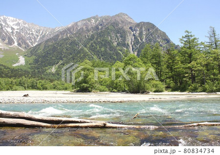信州上高地、春の新緑に包まれ清らかに流れる梓川と背景に見える北アルプスの明神岳 80834734