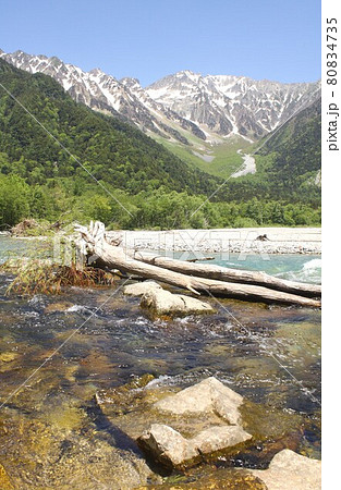 信州上高地、春の新緑に包まれ清らかに流れる梓川と背景に見える穂高連峰 80834735