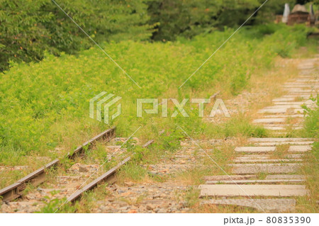 鉄道、廃線、夏のインクラインの風景です 80835390