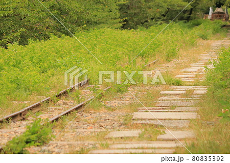 鉄道、廃線、夏のインクラインの風景です 鉄道、廃線、夏のインクラインの風景です 80835392