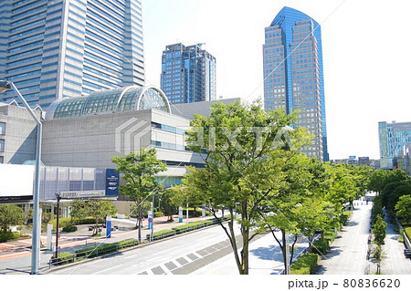 横浜 みなとみらい けやき通り 横浜 みなとみらい けやき通り 80836620