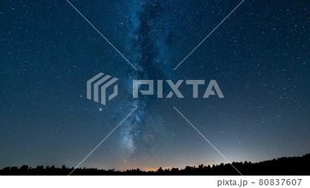 Milky way skyline over the tree tops 80837607