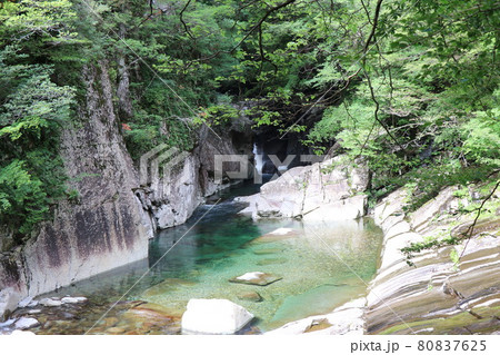 面河渓虎ヶ滝 面河渓虎ヶ滝 80837625