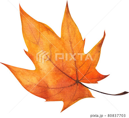 Autumn animals concept watercolor 80837703