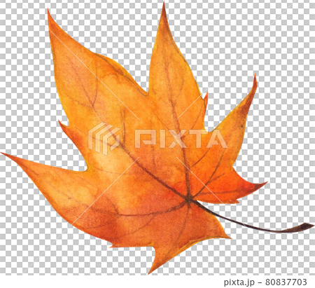 Autumn animals concept watercolor 80837703