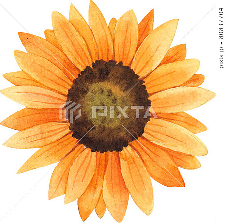 Autumn animals concept watercolor Autumn animals concept watercolor 80837704