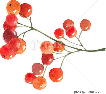 Autumn animals concept watercolor 80837705