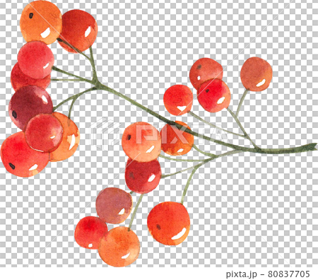 Autumn animals concept watercolor Autumn animals concept watercolor 80837705