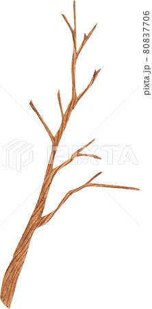 Autumn animals concept watercolor Autumn animals concept watercolor 80837706