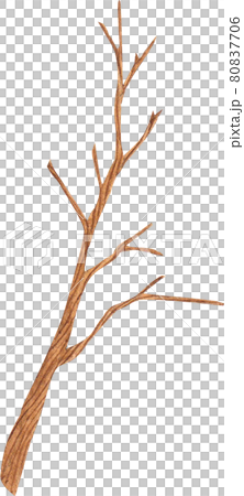 Autumn animals concept watercolor Autumn animals concept watercolor 80837706