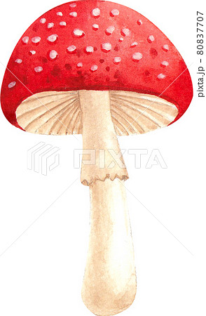 Autumn animals concept watercolor 80837707