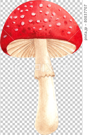 Autumn animals concept watercolor 80837707