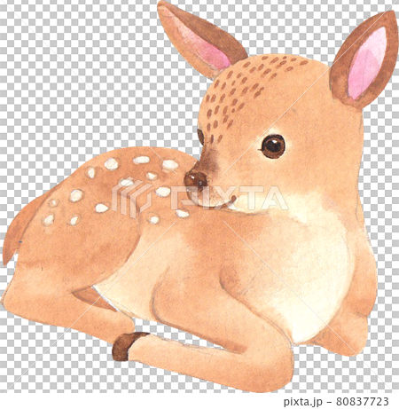 Autumn animals concept watercolor 80837723