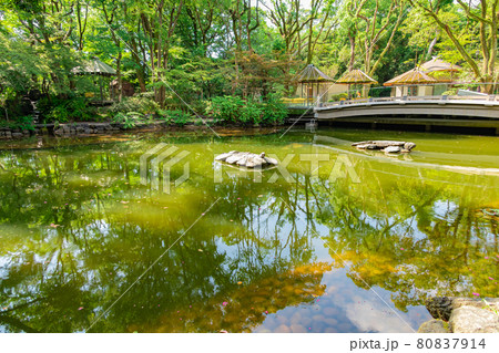 熱田神宮参拝者の憩いの場、くさなぎ広場〈愛知県名古屋市〉 80837914