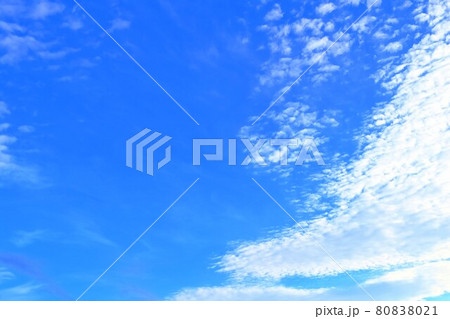 七月の鱗雲 七月の鱗雲 80838021