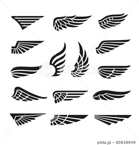 Eagle wings. Army minimal logo, wing graphics icons. Abstract retro black falcon bird badges, isolated flight emblem tidy vector collection Eagle wings. Army minimal logo, wing graphics icons. Abstract retro black falcon bird badges, isolated flight emblem tidy vector collection 80838049