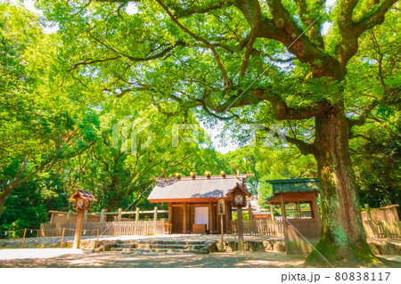 熱田神宮の別宮、八剣宮〈愛知県名古屋市〉 熱田神宮の別宮、八剣宮〈愛知県名古屋市〉 80838117