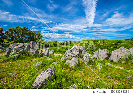 秋吉台　晴天のカルスト台地 80838882