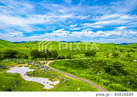 秋吉台　晴天のカルスト台地 80838886