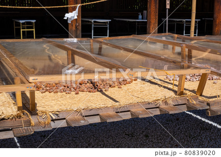 北野天満宮「大福梅(おおふくうめ)の土用干し」 北野天満宮「大福梅(おおふくうめ)の土用干し」 80839020