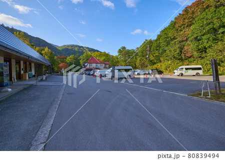 秋の尾瀬 大清水シャトルバス乗り場 80839494