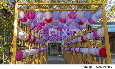 現人神社　福岡県　　提灯　恋ぼんぼり 80839705